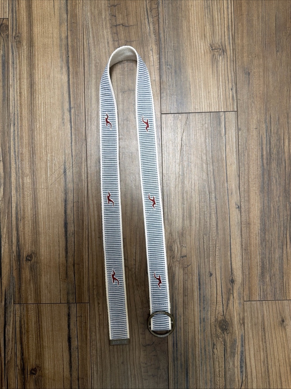 Hollister vintage Y2K Striped White & Blue Webbing Belt with Red Bird Accent